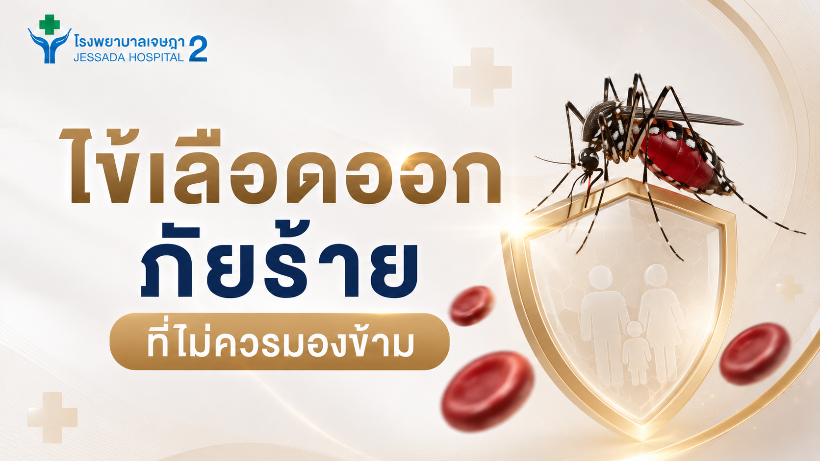 ไข้เลือดออกภัยร้าย ที่ไม่ควรมองข้าม